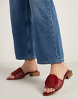 Mule Elyra