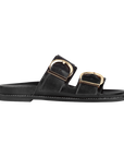 Birken Livi