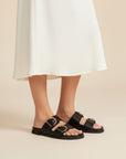 Birken Livi