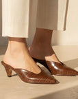 Mule Solene