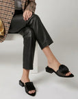 Mule Elyra