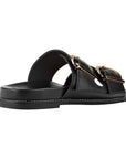 Birken Livi