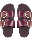 Birken Livi