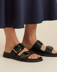 Birken Livi